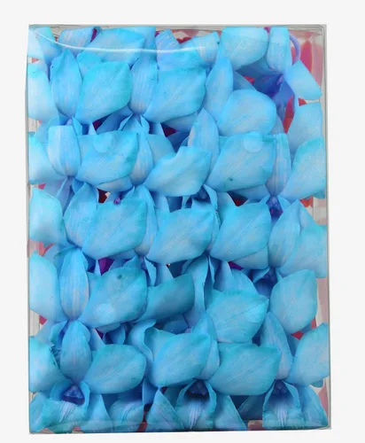 Miami Fresh Orchid Flower OrchidClub USA Sunne Tropical Loose Bloom Head DIY Lei Food Drink Decor BLUE (50 AZUL BEBÉ)