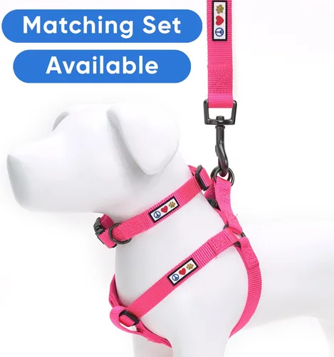 Miniatura 5 de Collar para mascotas Pawtitas, de 6 pies, de nailon, suave, ajustable, color sólido. El collar y arnés a juego para perros y cachorros se venden por