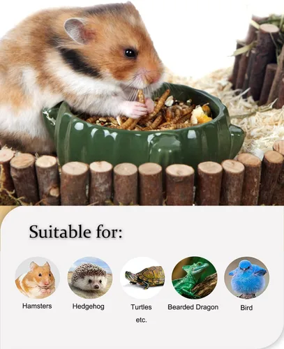 Miniatura 5 de Gusanos de harina secos de reptiles para mascotas, alimento para dragones barbudos, lagarto, tortugas, camaleón, monitor, rana, planeador de azúcar