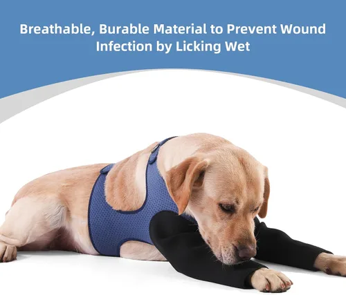 Miniatura 5 de Mangas para perros para heridas ambas patas delanteras, alternativa al collar de cono, manga de recuperación de perro resistente a la abrasión