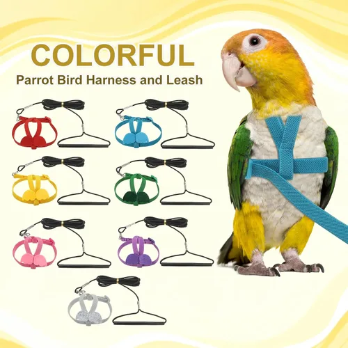 Miniatura 3 de Correa de arnés para pájaros, arnés ajustable para pájaros y loros para mascotas, ligera, antimordeduras, cuerda de entrenamiento de vuelo con linda