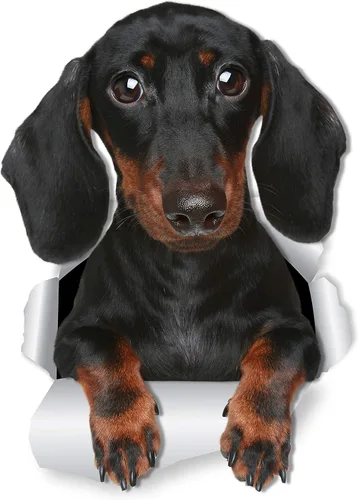 Winston & Bear Calcomanías de pared de perro salchicha lindo – Paquete de 2 – Adhesivo para inodoro de perro salchicha