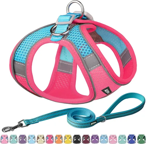 Miniatura 22 de AIITLE - Juego de arnés y correa para perro sin tirones, arnés ajustable para perros con chaleco acolchado para todo clima, correa para perros