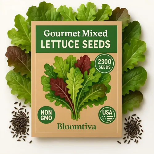 Miniatura 9 de Semillas de lechuga romana – Parris Island Cos, más de 8000 semillas reliquia sin OGM, paquete a granel de alta germinación, cultivadas en EE.UU.