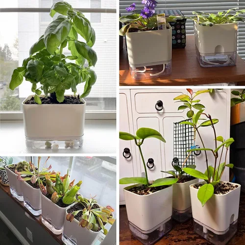 Miniatura 9 de Planterhoma Macetas de riego automático para plantas de interior de 4.3 pulgadas, 6 paquetes de macetas cuadradas de riego automático con orificio