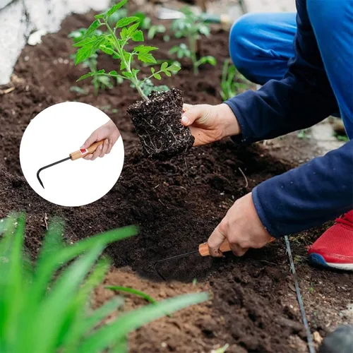 Miniatura 6 de Escardadora, herramienta de deshierbe de jardín de metal con mango de madera, mini extractor de malezas cultivador para excavar bordes plantación