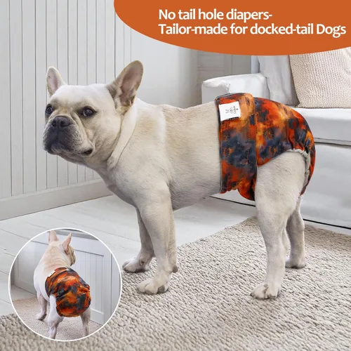 Miniatura 3 de CuteBone WWD28XS - Pañales lavables para perras, sin agujero para la cola, reutilizables, pantalones de entrenamiento para perritos, con cola