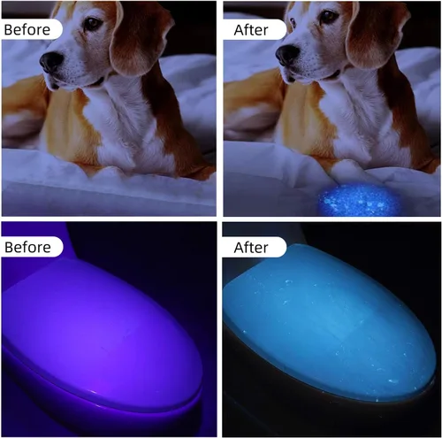 Miniatura 6 de Linterna UV de luz negra, 100 LED (390 nm), detector portátil de orina de mascotas para orina de perro/gato, manchas secas, chinches, batería
