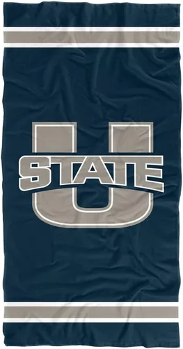 Miniatura 159 de LOGOVISION Manta Abilene Christian University, 30 x 60 pulgadas, logotipo primario CottonFront/PolyBackBeachTowel