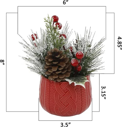 Miniatura 2 de Flora Bunda Mezcla de Navidad en maceta de cerámica de suéter rojo 3.5X3.5X3