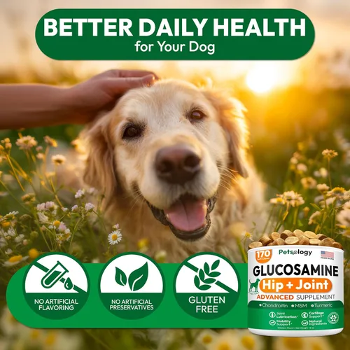 Miniatura 6 de Glucosamina para perros - Suplemento de cadera y articulaciones para perros - 170 masticables de movilidad - Glucosamina condroitina - MSM - Cúrcuma