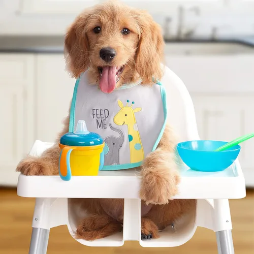 Miniatura 2 de Fromm Puppy Gold - Alimento seco prémium para perros – Alimento seco para cachorros para razas medianas y pequeñas – Receta de pollo – 15 libras