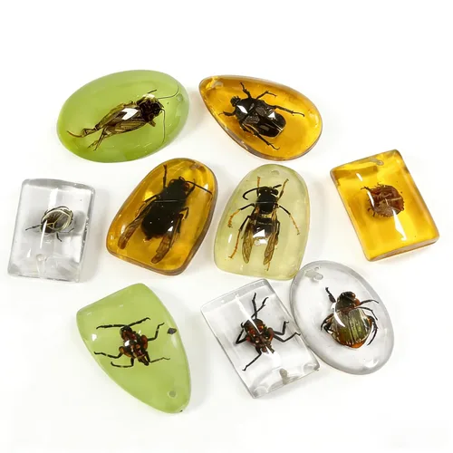 Miniatura 10 de 8 piezas de fósiles de ámbar con insectos, colgantes de fósiles de ámbar BOSOIRSOU, diferentes especímenes de insectos, insectos preservados