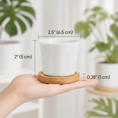 Miniatura 2 de Tosnail Paquete de 12 macetas pequeñas para suculentas con 12 bandejas de bambú, macetas redondas de cerámica blanca de 2.5 pulgadas, pequeñas