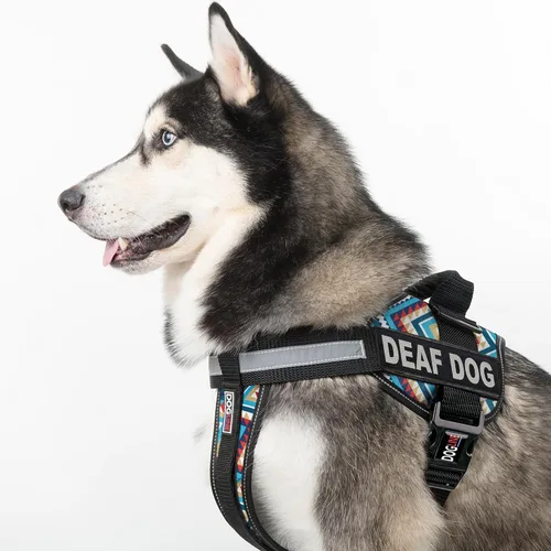Miniatura 5 de Dogline Unimax - Arnés para perro con parches para perros sordos reflectantes sin tirones, correas ajustables, neopreno transpirable para médicos