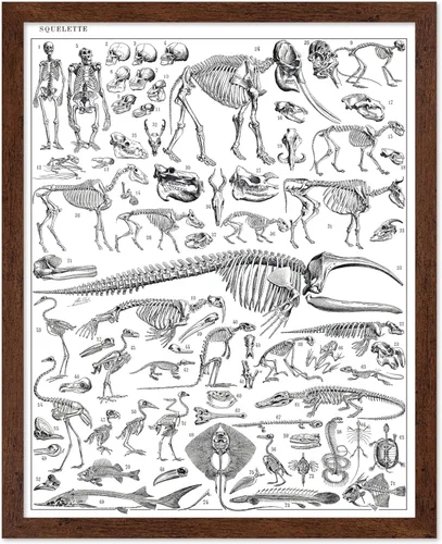 Miniatura 47 de Poster Master Póster vintage de miel, impresión retro de La Vie De L'Abeille, arte de panal de abeja, arte de pared de abeja, regalo para hombres