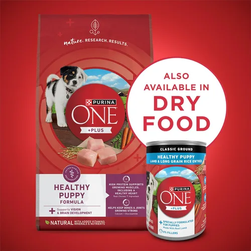 Miniatura 9 de Purina ONE Plus Alimento húmedo para cachorros, clásico cordero molido saludable y arroz de grano largo, plato principal - (Paquete de 12) latas