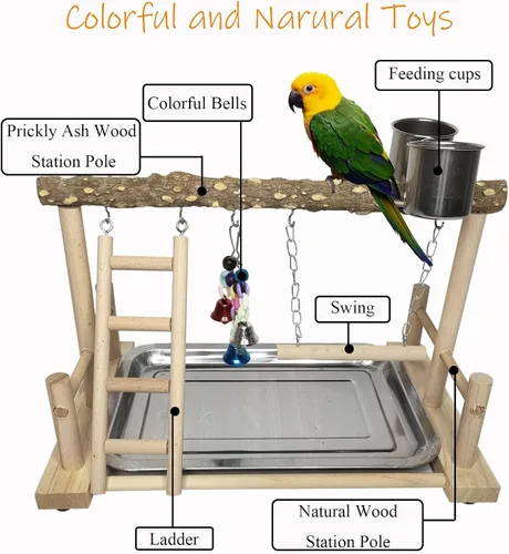 Miniatura 5 de PINVNBY Parque infantil para pájaros, soporte de madera para ejercicio, perca, gimnasio, escalera, con comedero, columpio, juguetes para periquitos