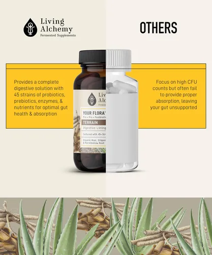 Miniatura 10 de Your Flora Probiotic Terrain - Probióticos sin OMG con soja fermentada, aloe vera y olmo resbaladizo para el equilibrio intestinal y la digestión