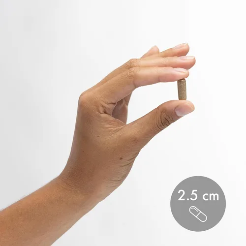 Miniatura 6 de Dr. Mercola Beta glucanos fermentados - Apoyo al sistema inmunológico - Fermentado de levadura Beta-1,3-Glucano y EpiCor - Vegetariano - No lácteos