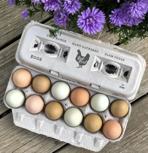 Miniatura 6 de 25 cajas de huevos, adorable diseño vintage impreso para huevos frescos de granja, cartón de papel reciclado, resistente y reutilizable, cartón