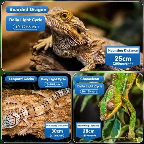 Miniatura 6 de HNRLOY Luz de reptil UVB, lámpara de reptil LED regulable UVA UVB de 9 W para dragón barbudo, camaleón, tortugas, gecko, serpiente, lagarto