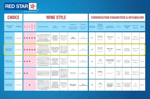Miniatura 2 de Red Star Premier Blanc - Levadura de vino (10 unidades) – Ideal para hacer sidra de vino Mead Kombucha en casa – 0.18 oz de sobres – Saccharomyces