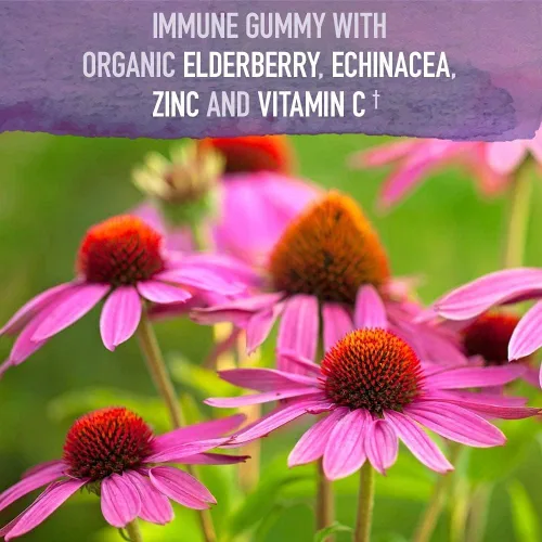 Miniatura 3 de Garden of Life Organics - Gomitas de saúco para adultos y niños y suplementos de zinc, suplemento multimineral de zinc crudo de alta potencia