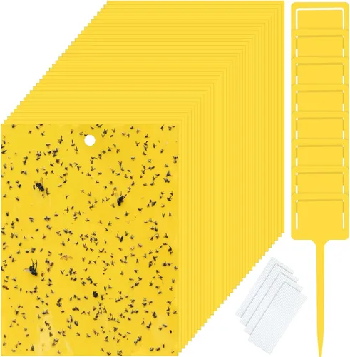 Qualirey 50 trampas adhesivas amarillas de 6 x 8 pulgadas para mosquitos de doble cara para moscas de la fruta para plantas de interior y exterior
