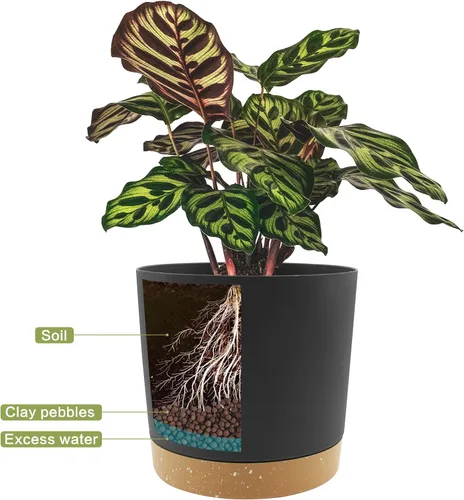 Miniatura 4 de QCQHDU Maceta de 10 pulgadas, paquete de 2 macetas para plantas de interior con agujeros de drenaje y platillo, macetas para exteriores, decoración