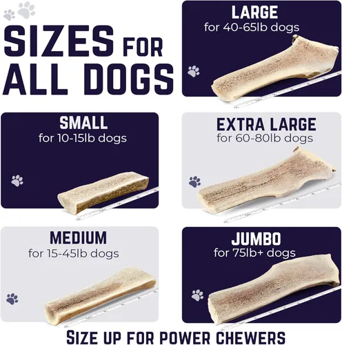 Miniatura 7 de Devil Dog Pet Co. Cuernos de alce divididos para perros, masticables naturales para perros con médula expuesta, larga duración y sin olor