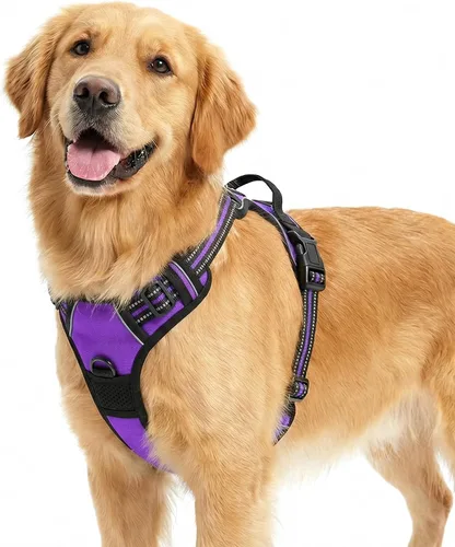 Miniatura 9 de Funfox Arnés para perro sin tirones, chaleco ajustable para mascotas con asa de control y clip frontal, diseño reflectante para perros pequeños