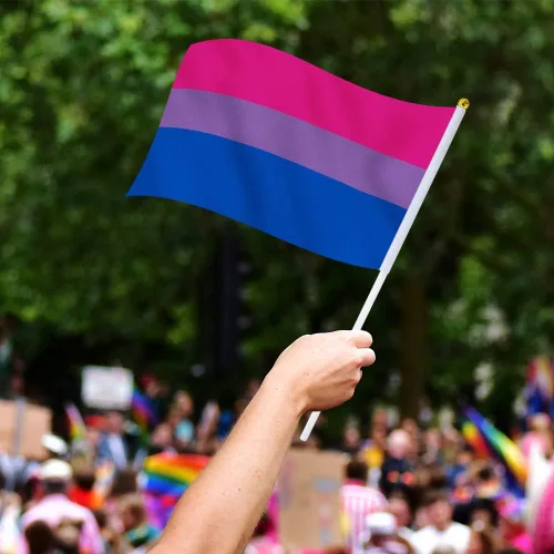Miniatura 5 de Bandera bisexual con bandera bi, pequeña mini banderas de mano con orgullo bisexual en palos para desfiles, fiestas, festivales y decoraciones