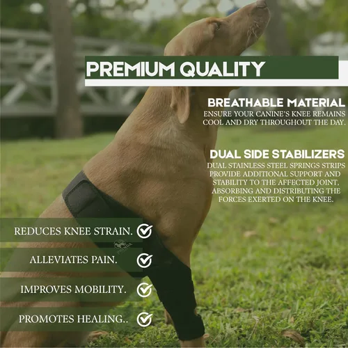 Miniatura 6 de Rodillera ajustable para perro para desgarro del ligamento cruzado anterior y rótula luxante, soporte para pierna trasera, displasia de cadera