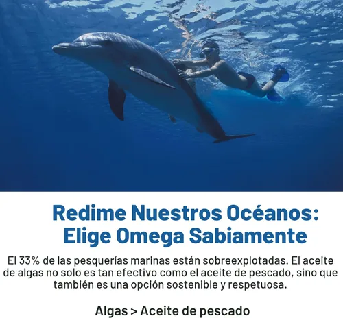 Miniatura 4 de Gomitas veganas Omega 3 de 1280 mg + vitamina D3 K2 (MK7), alternativa al aceite de pescado Omega 3 para adultos, con algas EPA 600 mg y DHA 400 mg