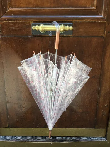 Miniatura 4 de SMATI París - Paraguas transparente de jaula para pájaros con diseño de constelación - Transparente Resistente al viento Apertura automática Mango