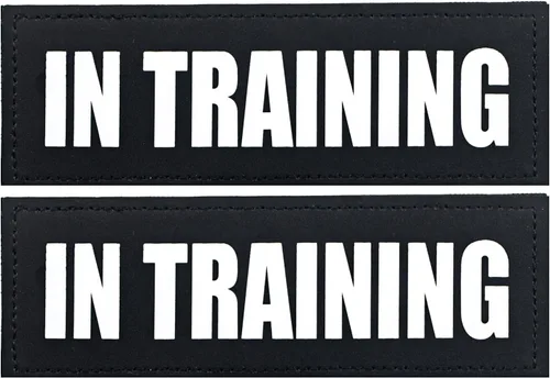 Miniatura 10 de Paquete de 2 parches para perros de servicio, parche de chaleco negro para perro en entrenamiento, parches de arnés para perros extraíbles