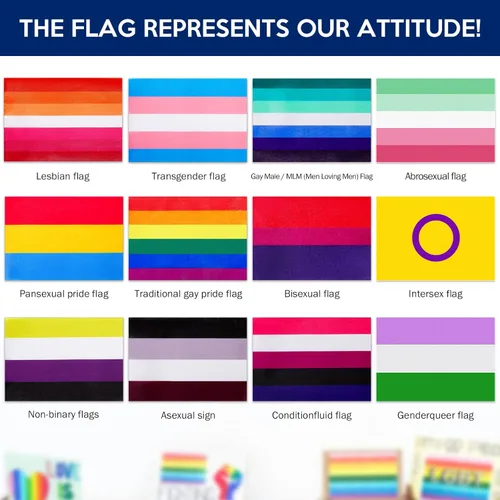 Miniatura 7 de Weewooday Juego de 108 banderas de orgullo mini LGBT pequeña bandera progreso de mano arco iris gay Genderqueer asexual no binario lesbiana