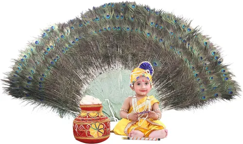 Miniatura 2 de Raj Fancy Dresses Vestido Shri Krishna para bebés niño y niña vestido Janmashtmi con Dhoti Dupatta vestido Kanha para 3 meses a 8 años