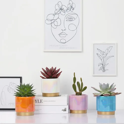Miniatura 7 de Gepege - Macetas para suculentas para plantas, maceta para suculentas con agujeros de drenaje, maceta de cerámica para plantas de interior, juego