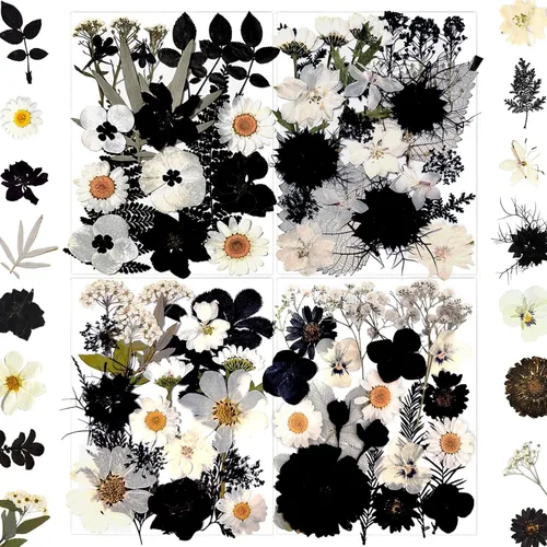 MIKIYA 90 piezas de flores secas prensadas negras para moldes de resina, hojas florales secas a granel naturales reales para manualidades de arte,