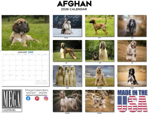 Miniatura 3 de Calendario de Lebrel Afgano 2025 2026, calendario mensual de pared de raza canina, 12" x 18" abierto, papel grueso sin traspaso, ideal para regalo