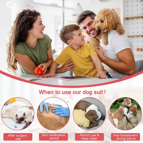 Miniatura 6 de Etdane Pañales para perros, bragas sanitarias, camisas de período fisiológico, trajes de recuperación quirúrgica para perros machos y hembras