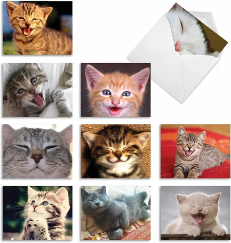 Miniatura 12 de The Best Card Company - 10 tarjetas de gato en blanco para todas las ocasiones (4 x 5.12 pulgadas) - Lindo juego de tarjetas a granel surtido - Cat