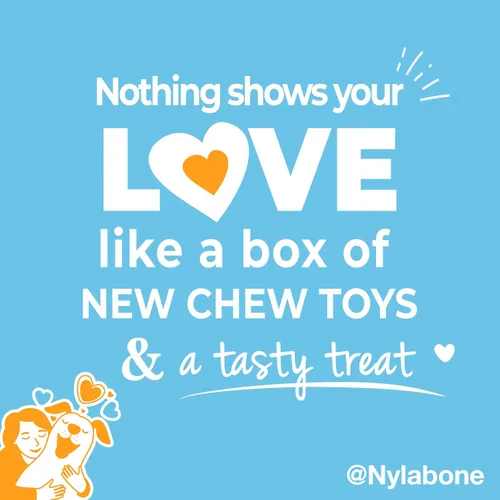 Miniatura 5 de Nylabone Caja de Regalo para Cachorros, Incluye 3 Fuertes Juguetes para Masticación de Cachorros y 1 Hueso de Golosina Natural para Cachorros