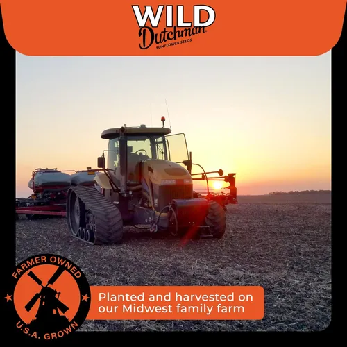 Miniatura 6 de Wild Dutchman Semillas de girasol tostadas en una bolsa resellable para una frescura definitiva y un fácil vertido, paquete de 6 sabores variados