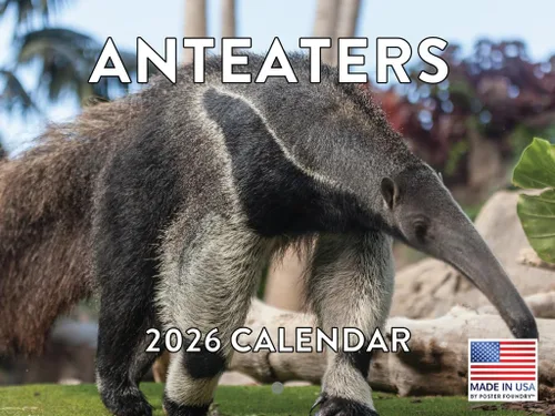 Miniatura 93 de Calendario alpaca 2026, calendario mensual de pared de 12 meses Hecho en Estados Unidos.