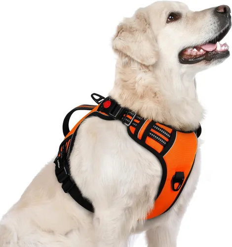 Miniatura 19 de rabbitgoo Arnés para perro de tamaño pequeño, arnés para mascotas sin tirones con mango acolchado suave, chaleco reflectante ajustable con 3