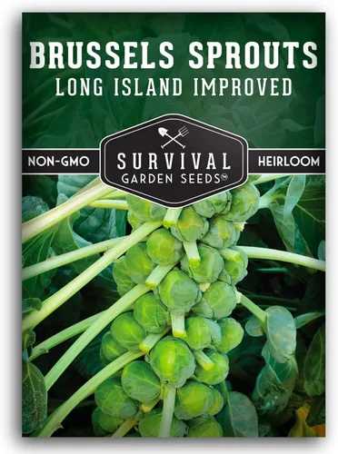 Survival Garden Seeds - Coles de Bruselas mejoradas de Long Island para plantar - Paquete con instrucciones para plantar y cultivar deliciosos