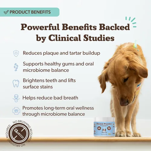 Miniatura 3 de Natural Dog Company Polvo dental para perros – Refresca el aliento y ayuda a reducir la placa y el sarro, suplemento posbiótico natural